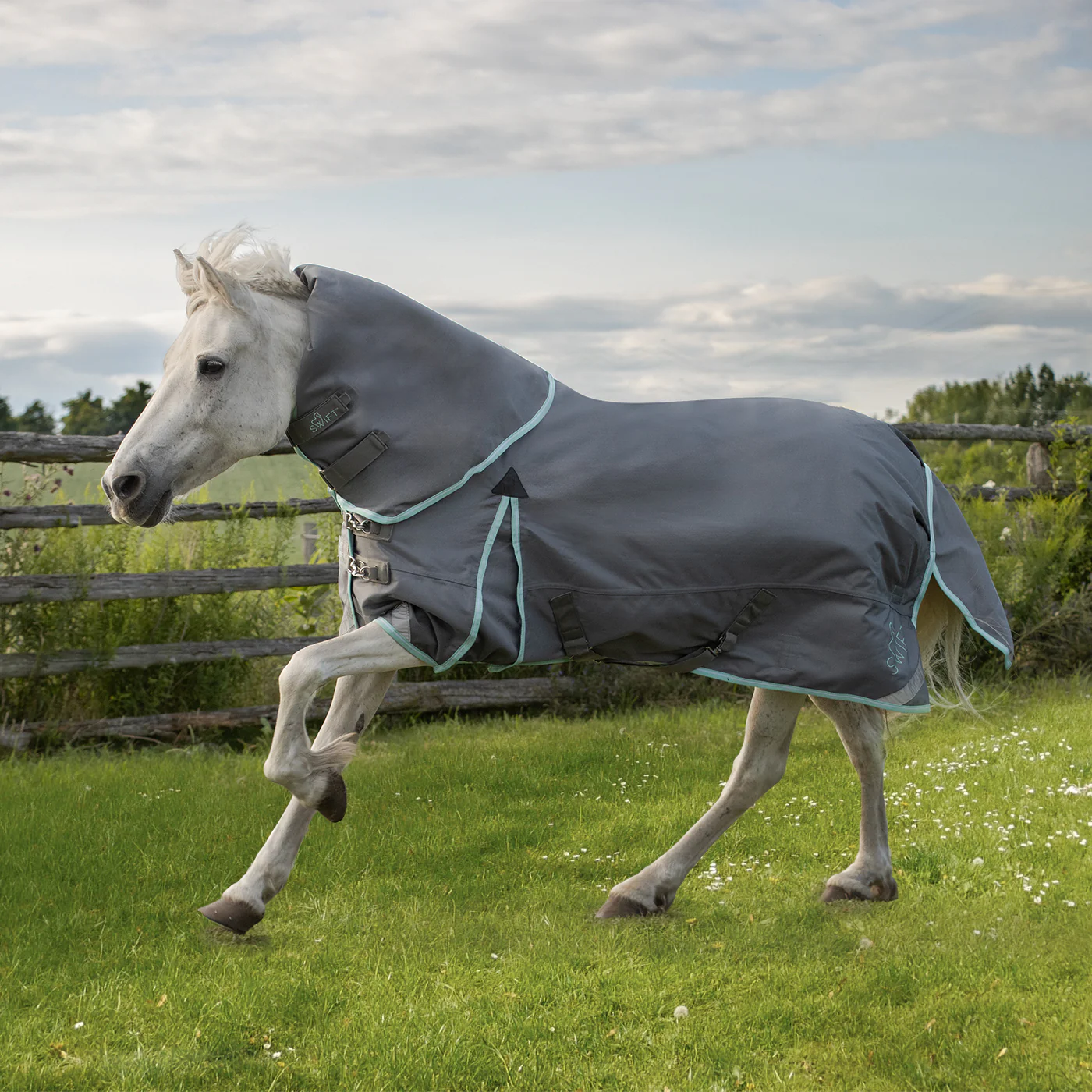Swift Pony Rainsheet 0 g - Image 7