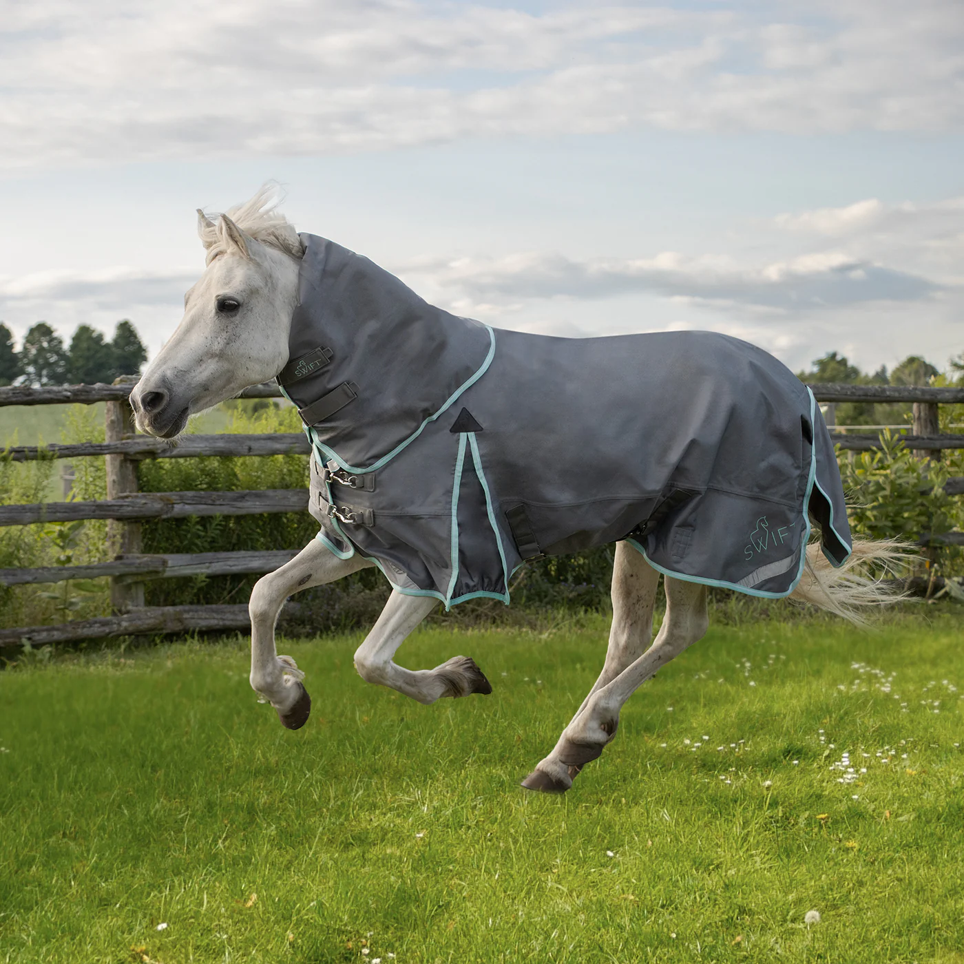 Swift Pony Rainsheet 0 g - Image 8