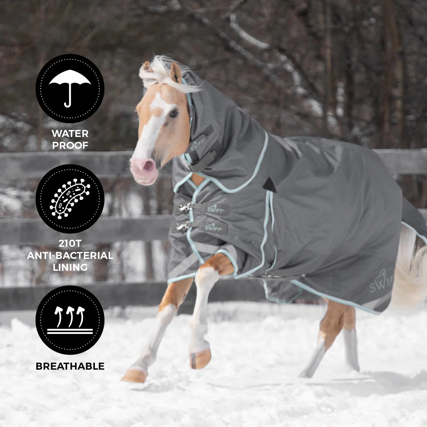 Swift Pony Turnout Blanket 150 g - Image 2