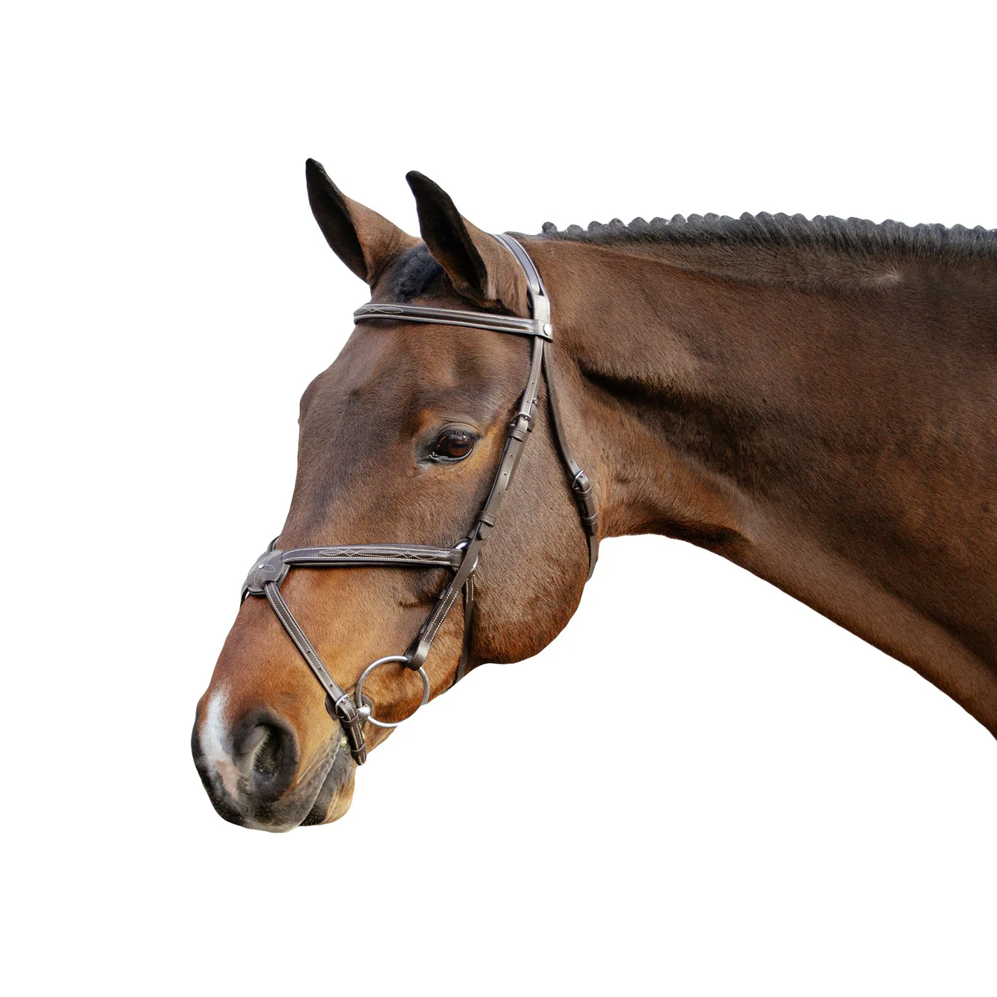 Val du Bois Padded Fancy Stitched Figure-8 Bridle - Image 2