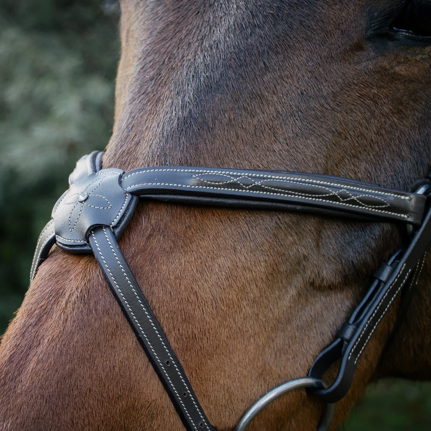 Val du Bois Padded Fancy Stitched Figure-8 Bridle - Image 7