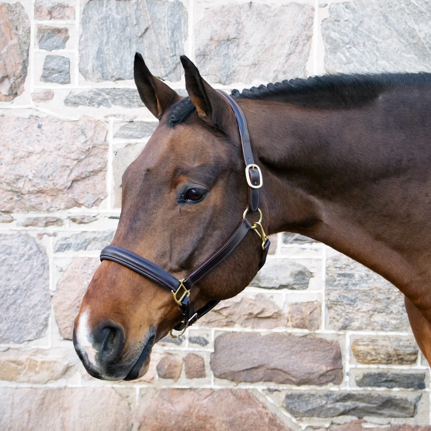 Val du Bois Padded Leather Halter - Image 2