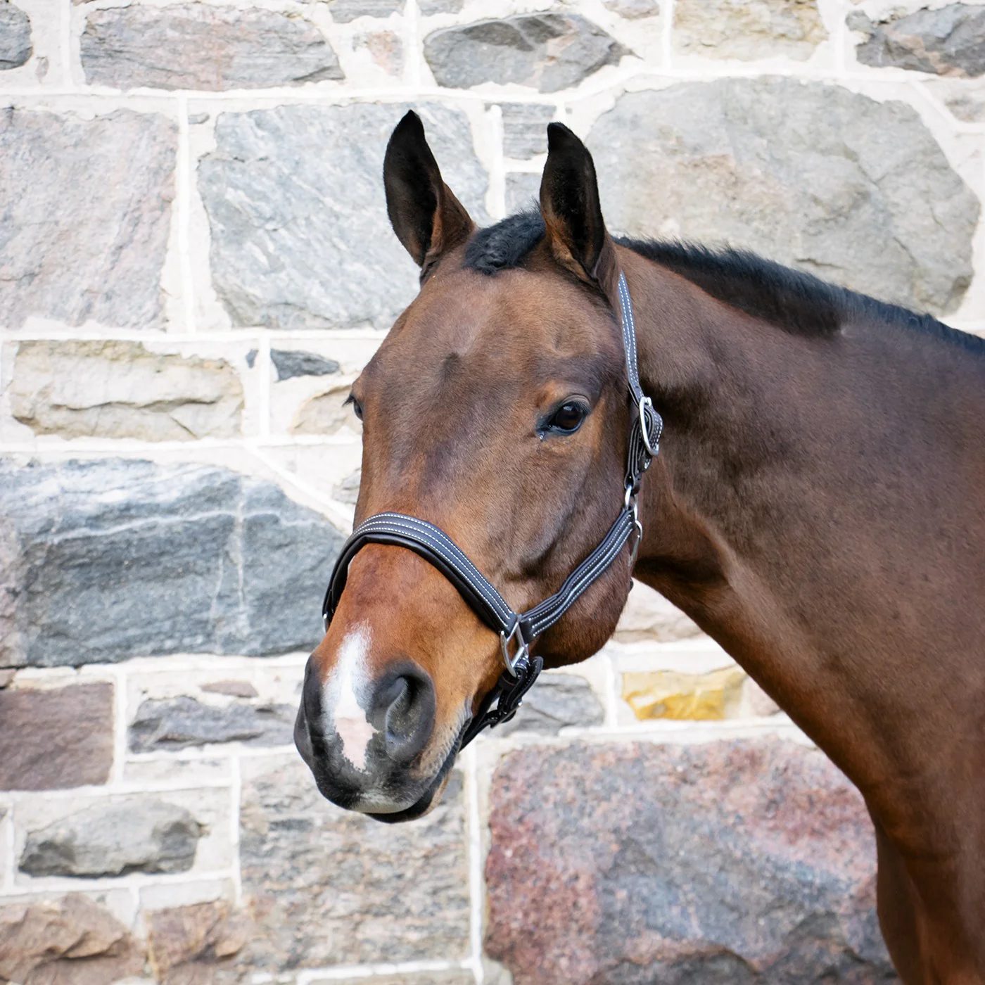 Val du Bois Synthetic Leather Halter - Image 2