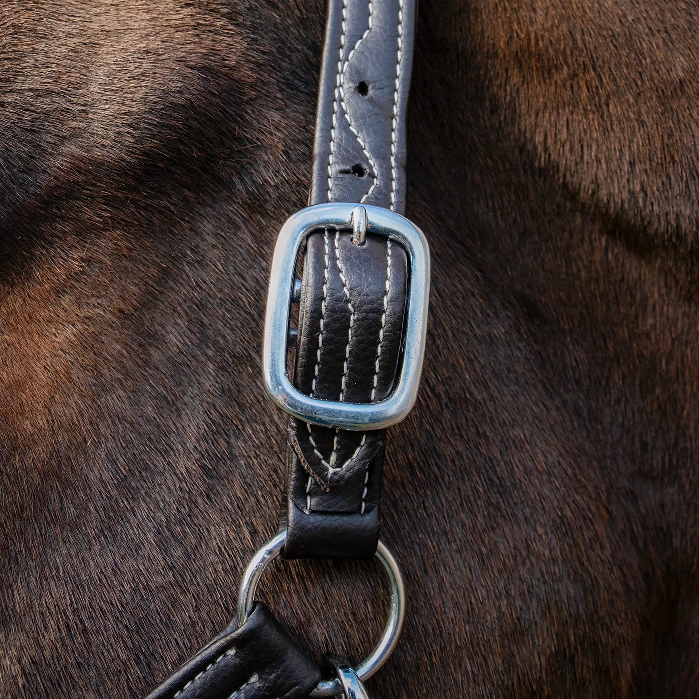 Val du Bois Synthetic Leather Halter - Image 3