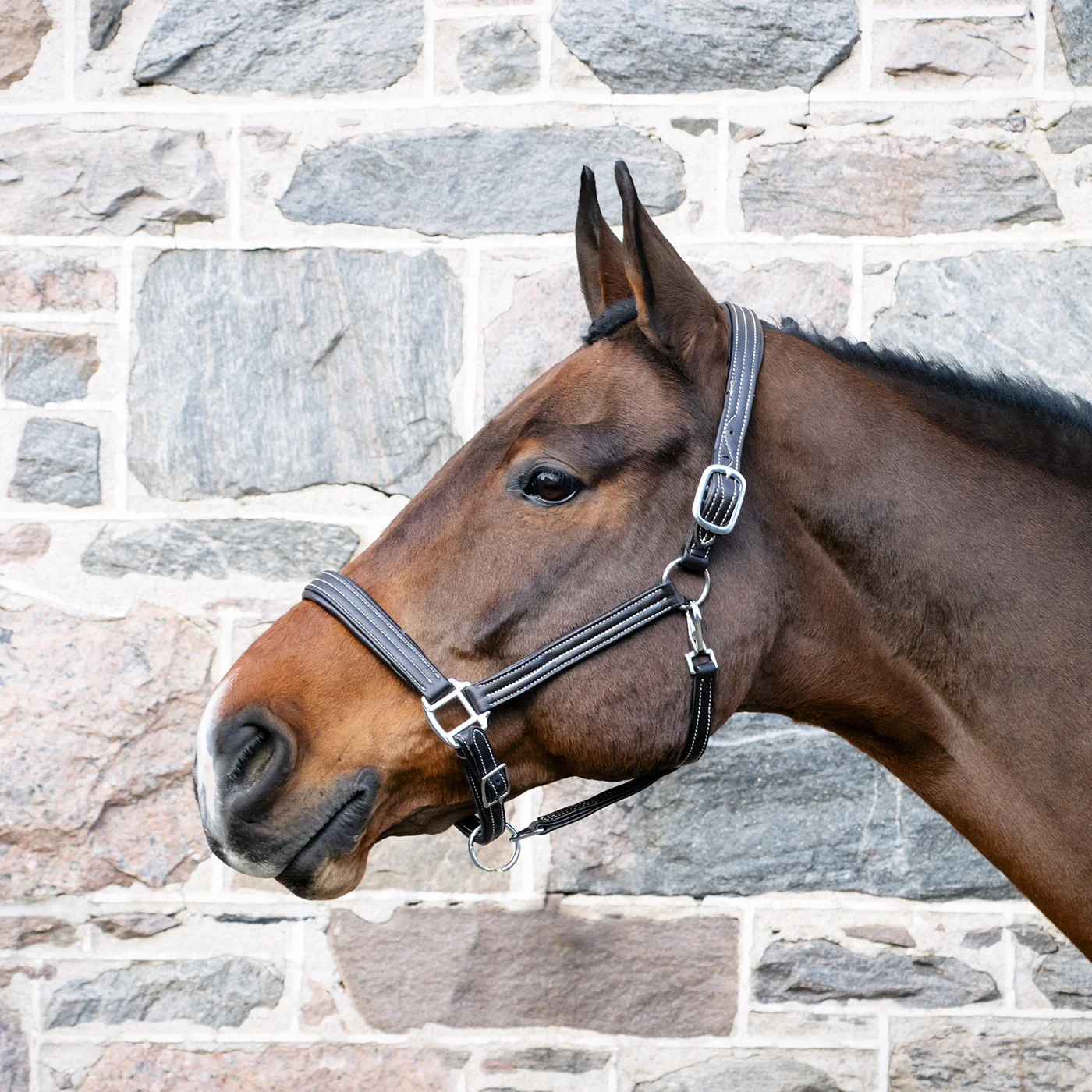 Val du Bois Synthetic Leather Halter - Image 5