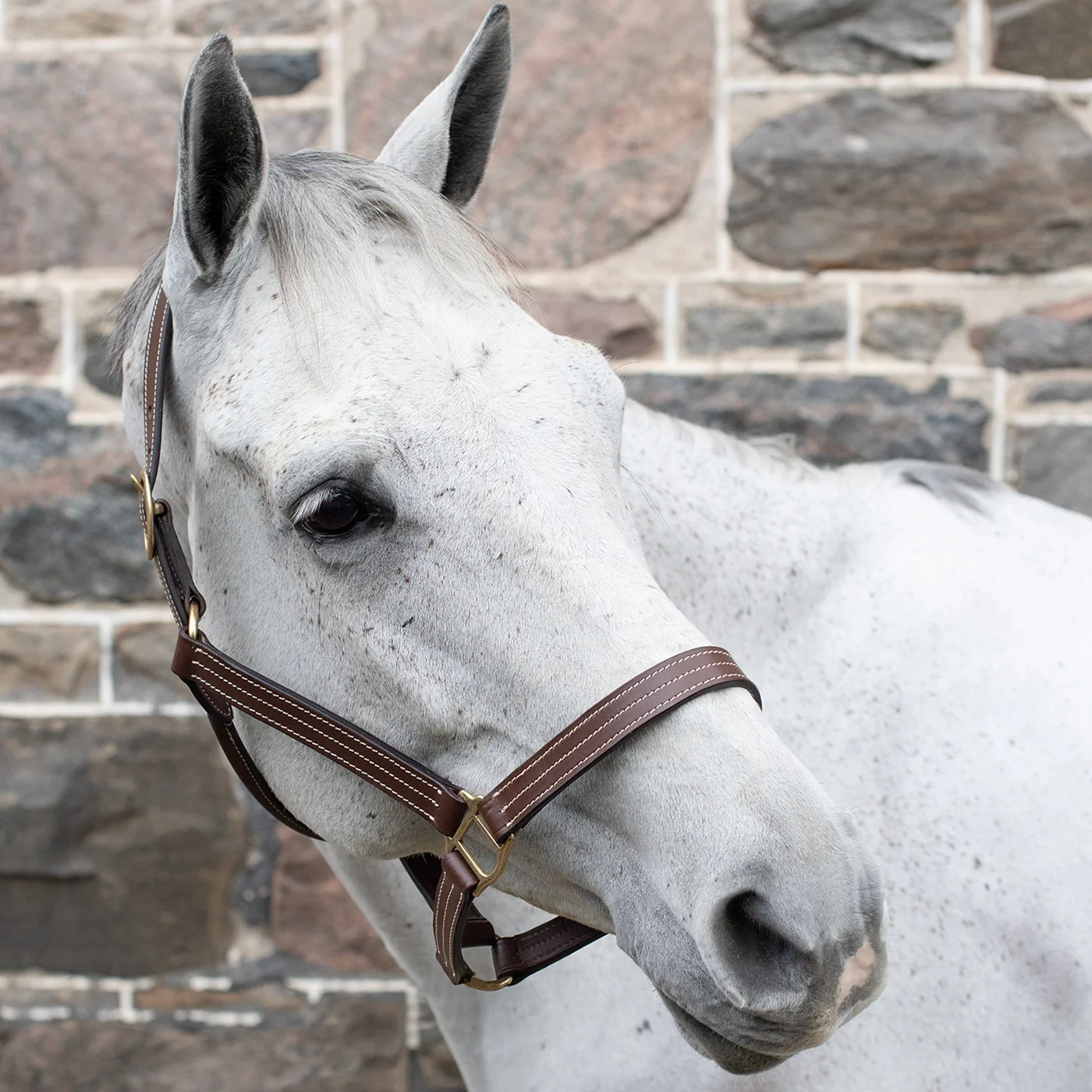 Val du Bois Triple Stitch Leather Halter - Image 3