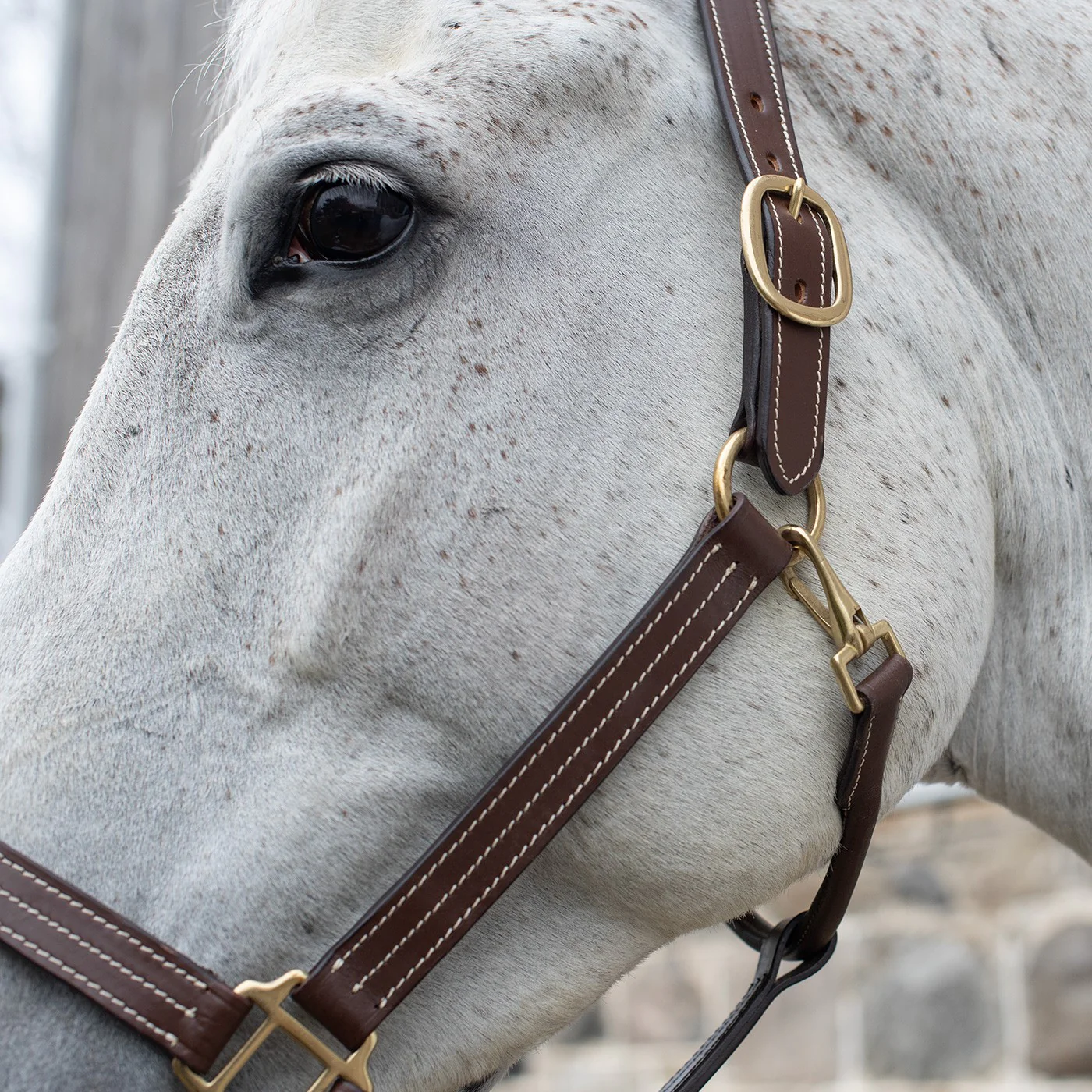 Val du Bois Triple Stitch Leather Halter - Image 4
