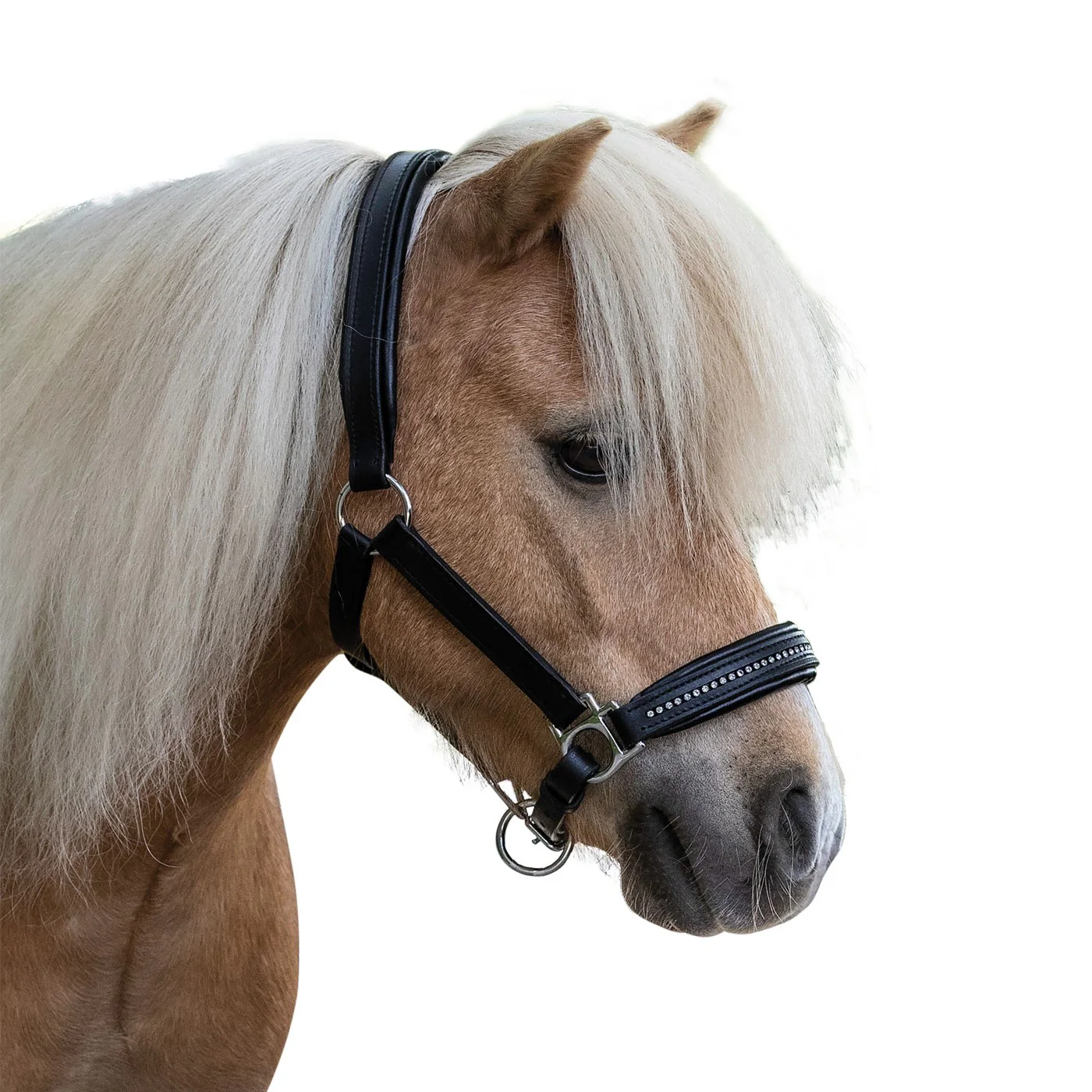 Waldhausen Star Diamond Leather Halter - Image 2